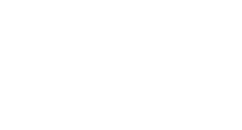 Business Internet Logo